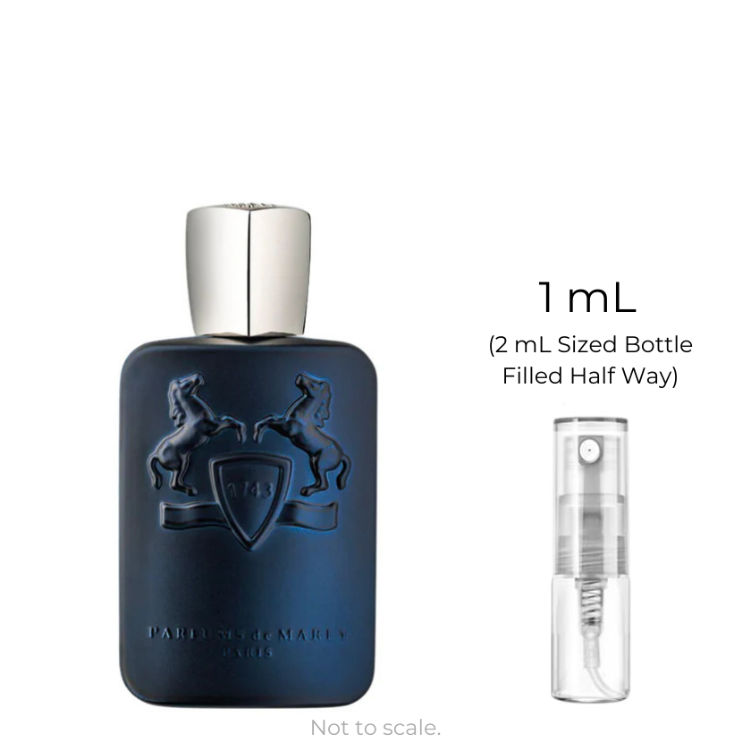 Layton EDP
