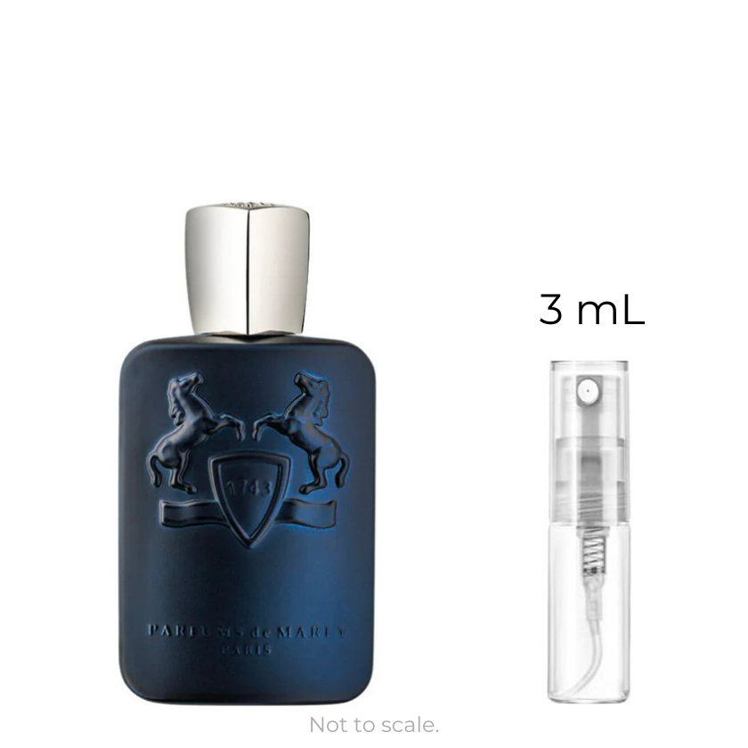 Layton EDP