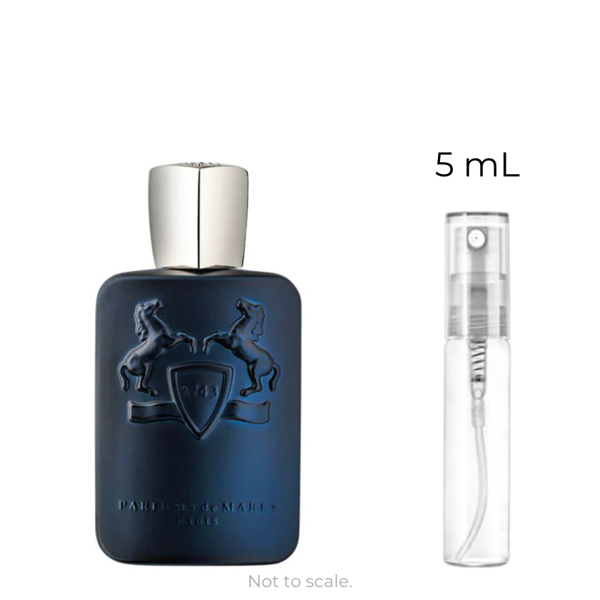 Layton EDP